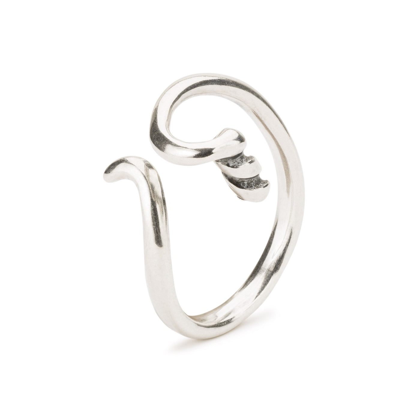 Anillo Giro Elegante